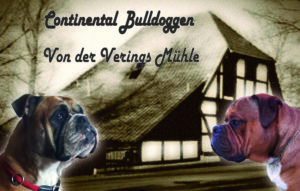 Continental Bulldog